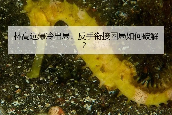 林高远爆冷出局：反手衔接困局如何破解？