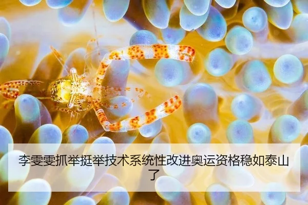 李雯雯抓举挺举技术系统性改进奥运资格稳如泰山了