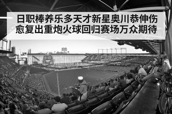baseball stadium crowd